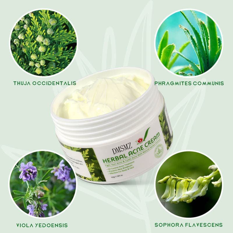 Herbal Acne Cream with Thuja, Phragmites, Viola and Sophora extracts